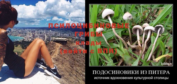 a pvp Арсеньев
