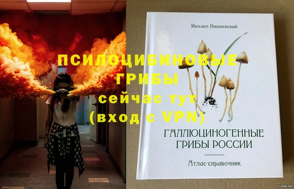 Альфа ПВП Армянск